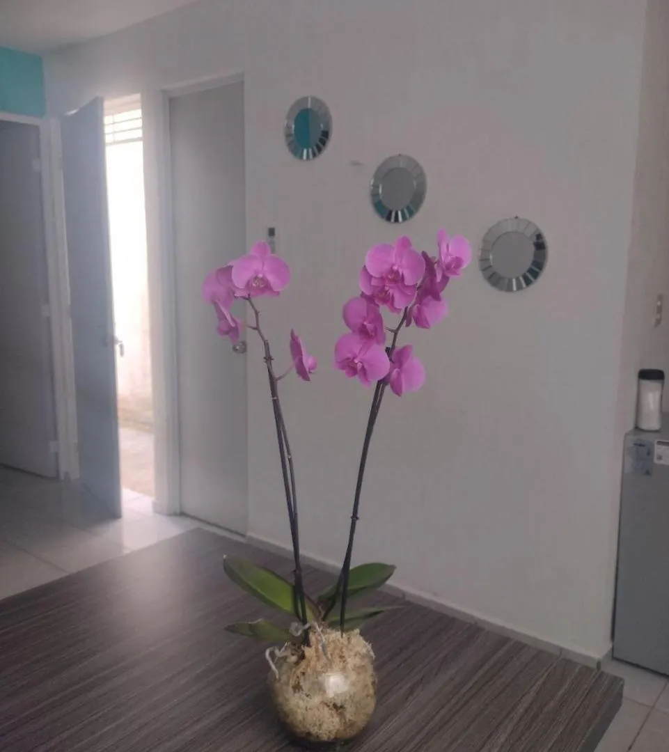 Aguamarina Casa Cancún